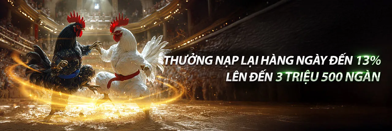 Đá gà trực tuyến 8k00000